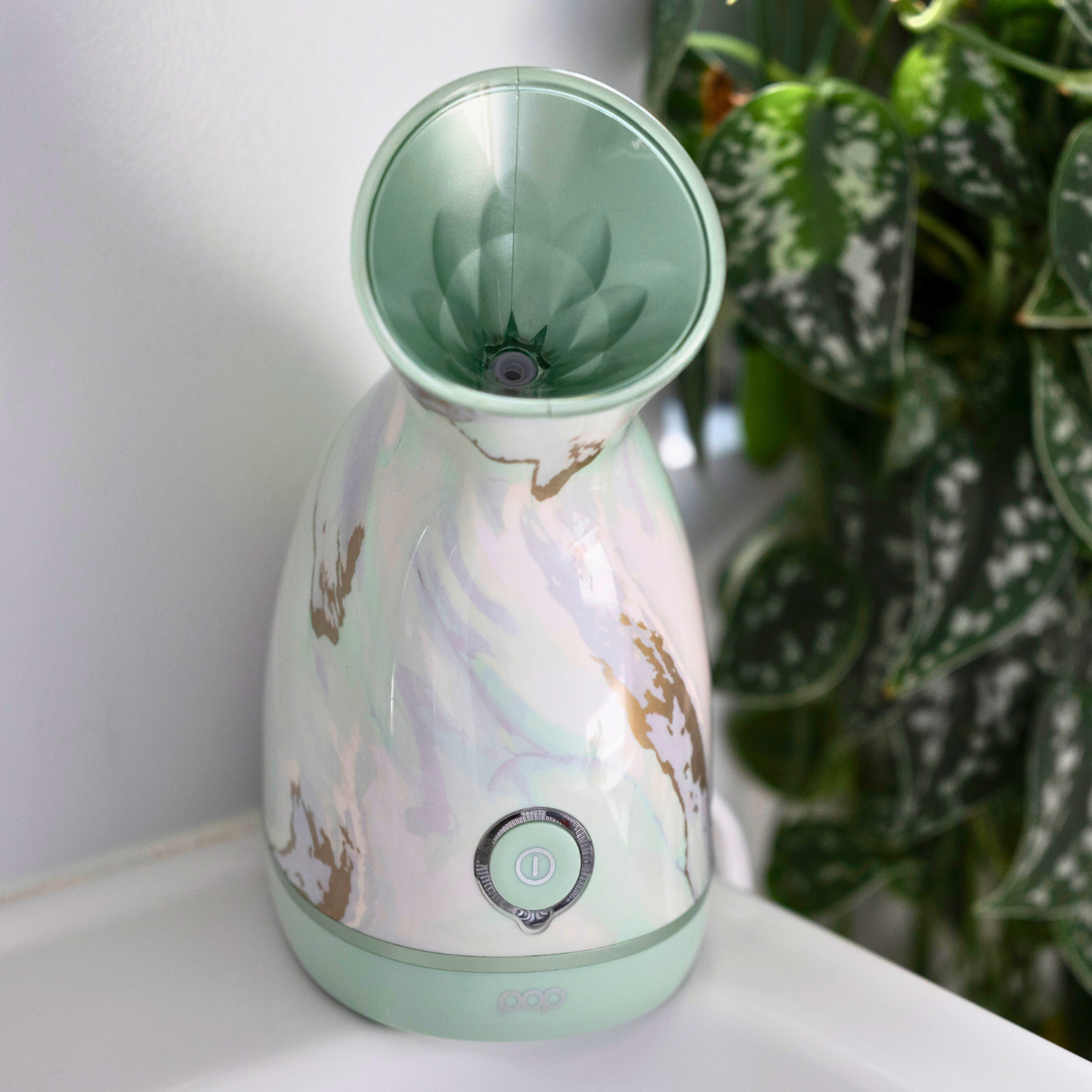 Nano Facial Steamer