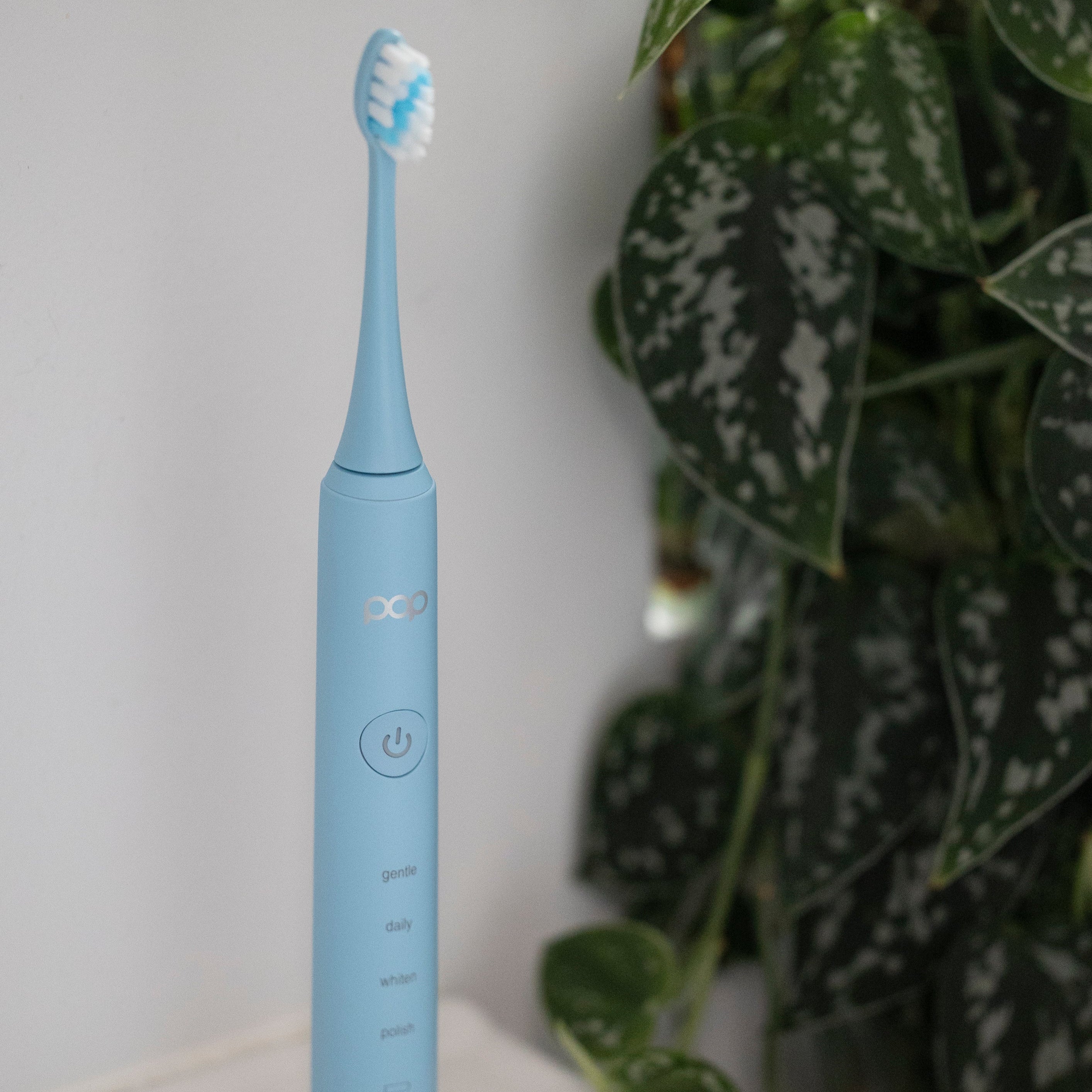 Pro 2.0 Sonic Toothbrush
