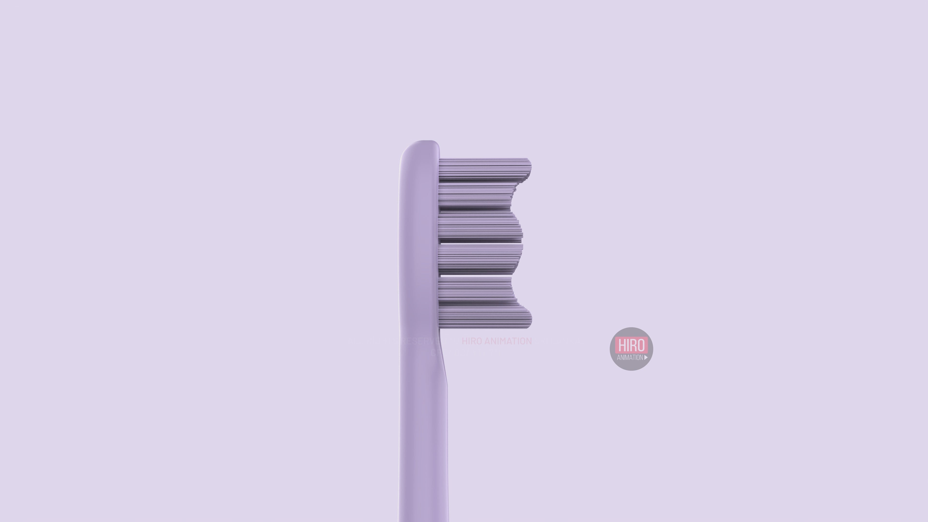 Pro 9 Sonic Toothbrush w/8 heads